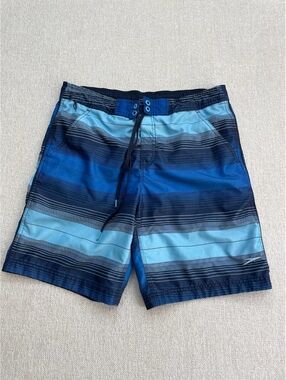 Speedo Men's Blue Striped Swim Trunks Size S
